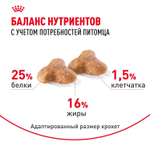 Royal Canin Pug Adult Корм сухой для взрослых собак породы Мопс 500 г