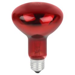 Инфракрасная лампа ЭРА ИКЗК 230-100 R95 E27 для обогрева животных и освещения 100 Вт