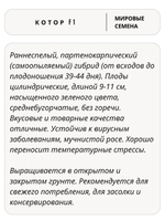 Семена огурцов Котор F1, 7 семян (Vita Green / Вита Грин)
