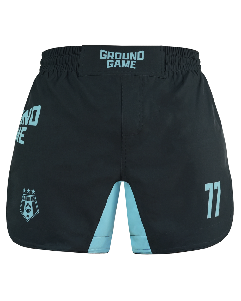 Шорты Ground Game MMA FC ARMBAR мятные