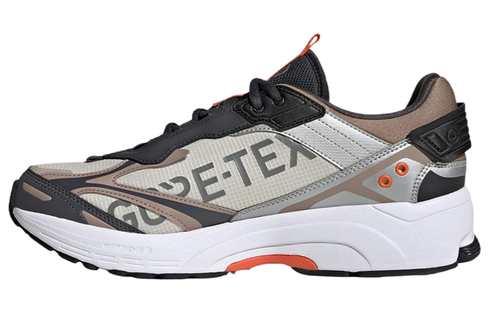 Кроссовки Adidas Spiritain 2000 Gtx