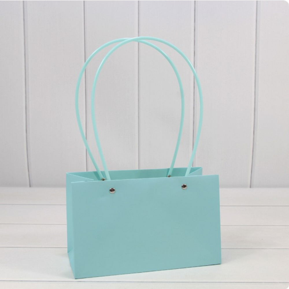 Пакет подарочный 22х13,5х10,5 Ваза для цветов (Голубой)