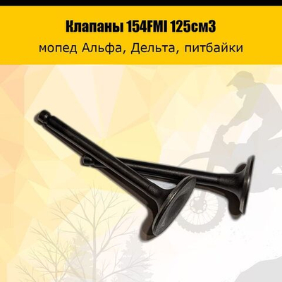 Клапаны для двигателя питбайка 154FMI 125см3