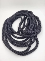 Швартовый трос 10,0 мм, 6 м, с огоном 30 см, синий