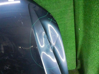 DSCN7254.JPG