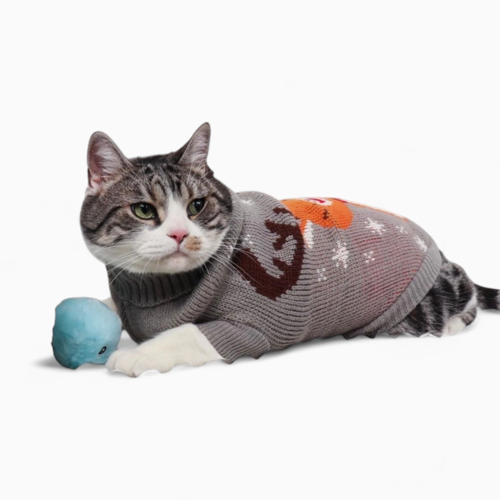 Свитер «Bimbo»