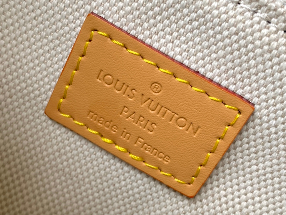 Louis Vuitton Nano Steamer