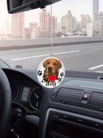 Подвеска в машину - Лабрадор-ретривер