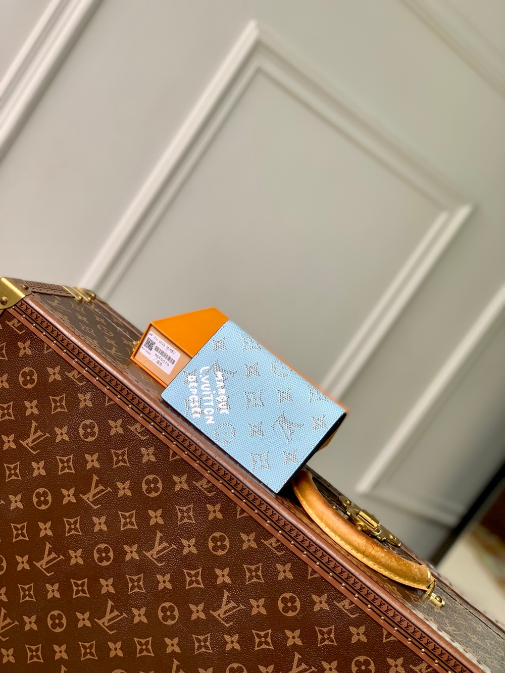 Louis Vuitton Passport Cover