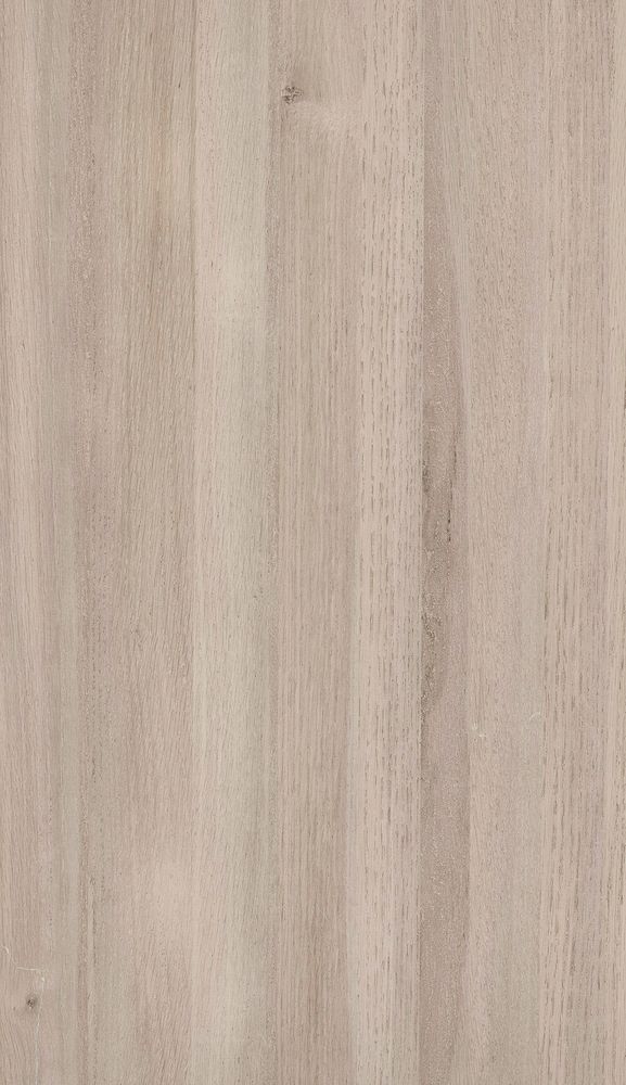 Монгольский дуб Сиенна