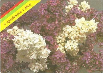 Открытка "С праздником 1 мая!" фото Г. Овчинникова