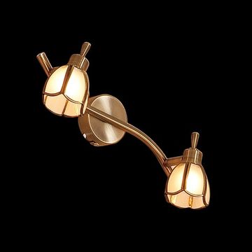 Спот CL522521 бронза старая Альтен Citilux