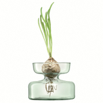 Ваза canopy, 10 см