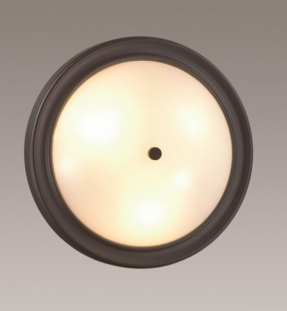 Накладной светильник Lumion 5260/3C