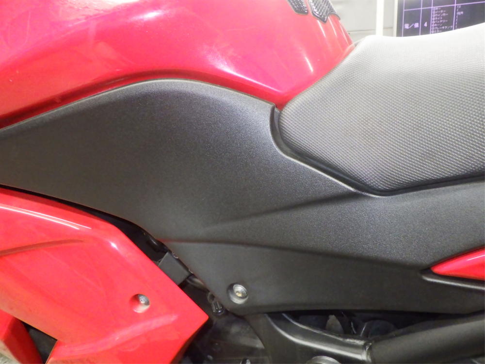 Kawasaki Ninja 250R , 2009