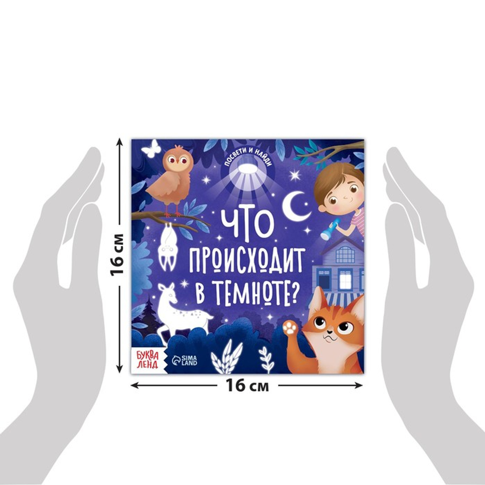 Книга с фонариком "Что происходит в темноте?", 24 стр.
