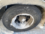 BONUM 914221 Полуприцеп цистерна BONUM 914221.02