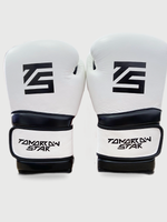 Перчатки боксерские WHITE- BLACK TS 18