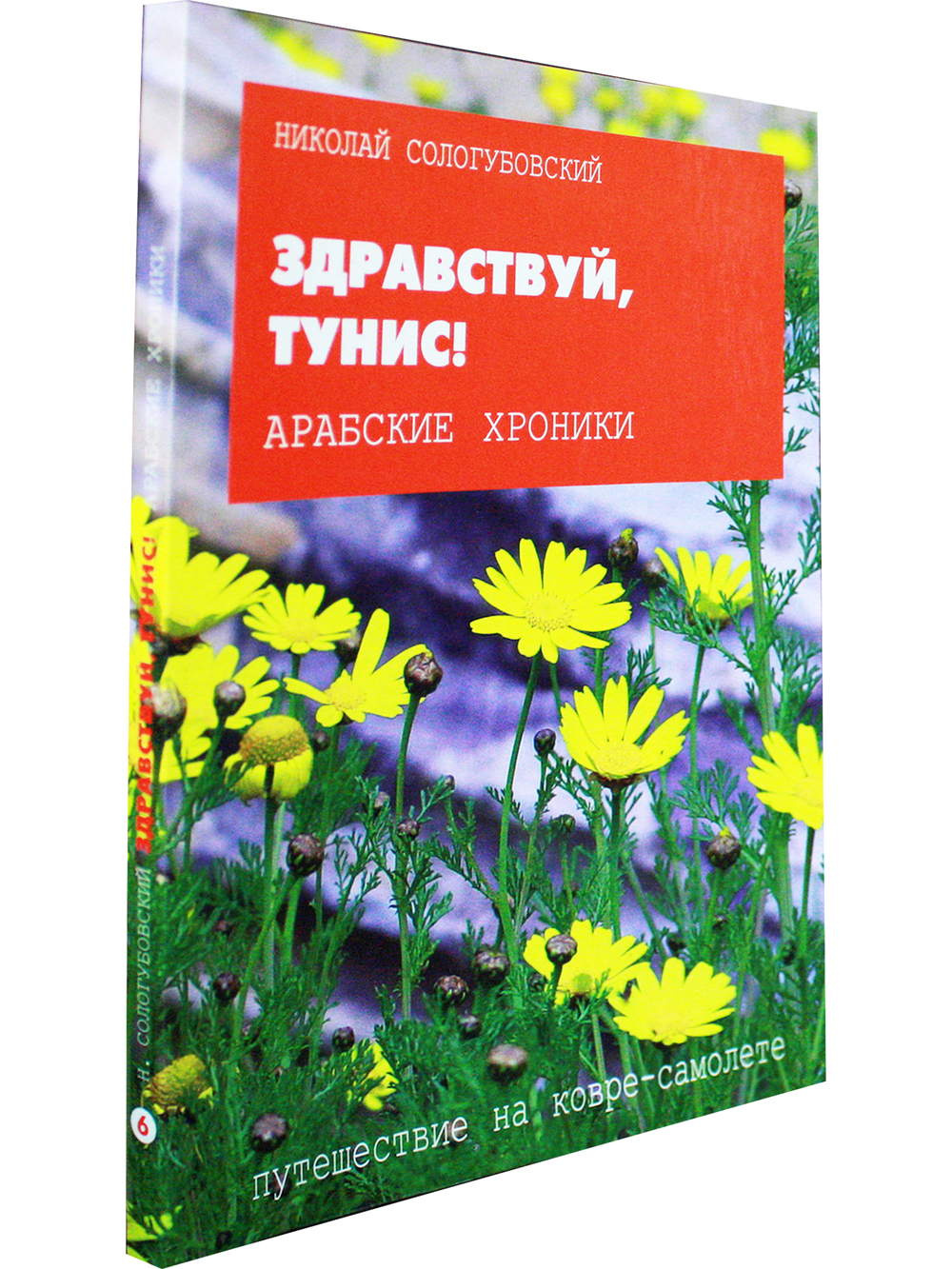 ЗДРАВСТВУЙ, ТУНИС!