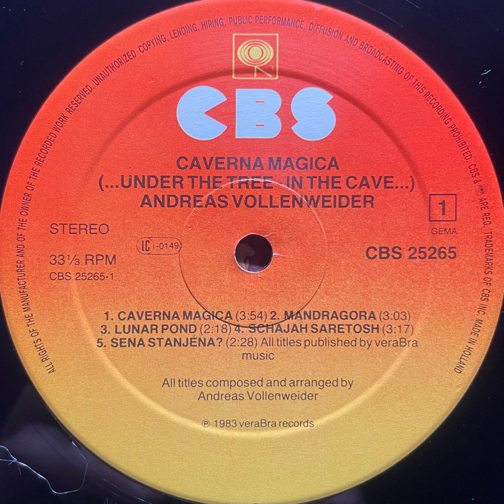 Andreas Vollenweider - Caverna Magica (Голландия 1983г.)