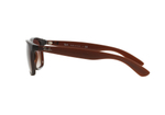 Ray-Ban Andy RB4202 607313