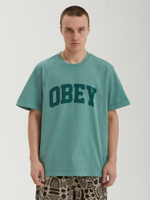 Мужская Футболка Collegiate Pigment