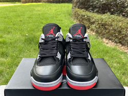 Air Jordan 4 FV5029-006