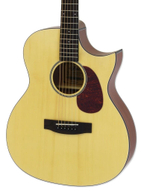ARIA ARIA-101CE Matte Natural