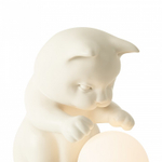 Настольная лампа декоративная Freya Whisker FR5607TL-01W