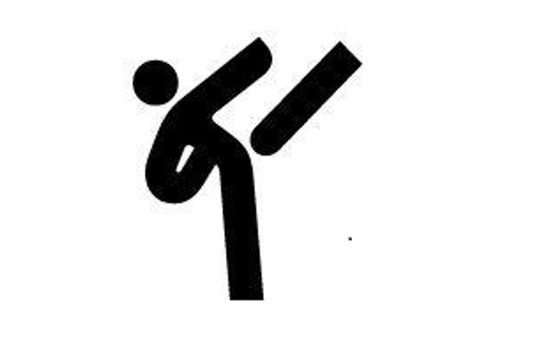 Межрегиональный Фестиваль по тхэквондо ВТ &quot;Сила духа&quot;