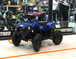 Электро-мотовездеход квадроцикл Apollo RFZ E-KING KONG 1000W Синий