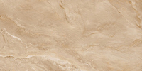 LCM Argenta Bronze 60x120