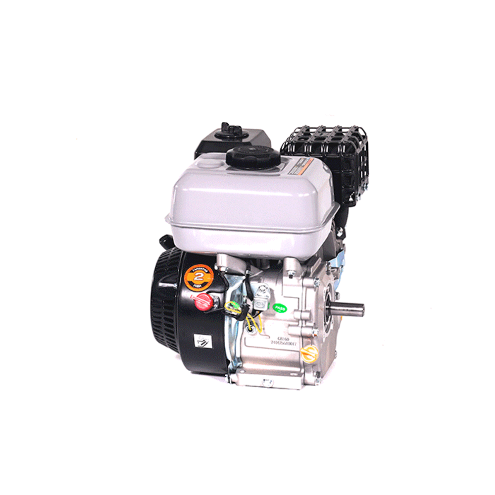 Двигатель бензиновый EVOline GB 160