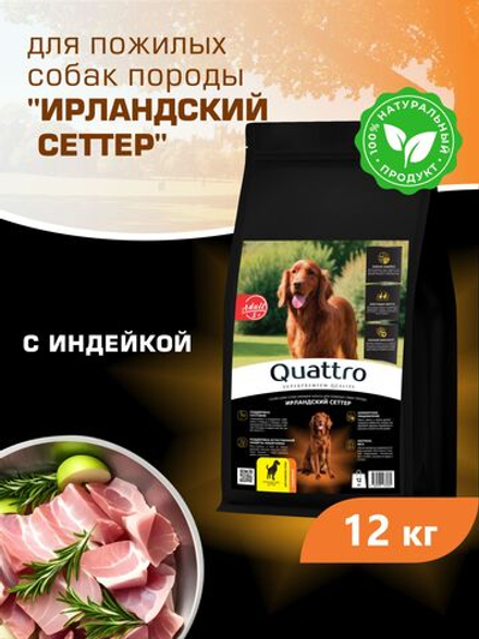 Корм сухой для пожилых собак породы Ирландский сеттер старше 5 лет, с индейкой, 12 кг, QUATTRO