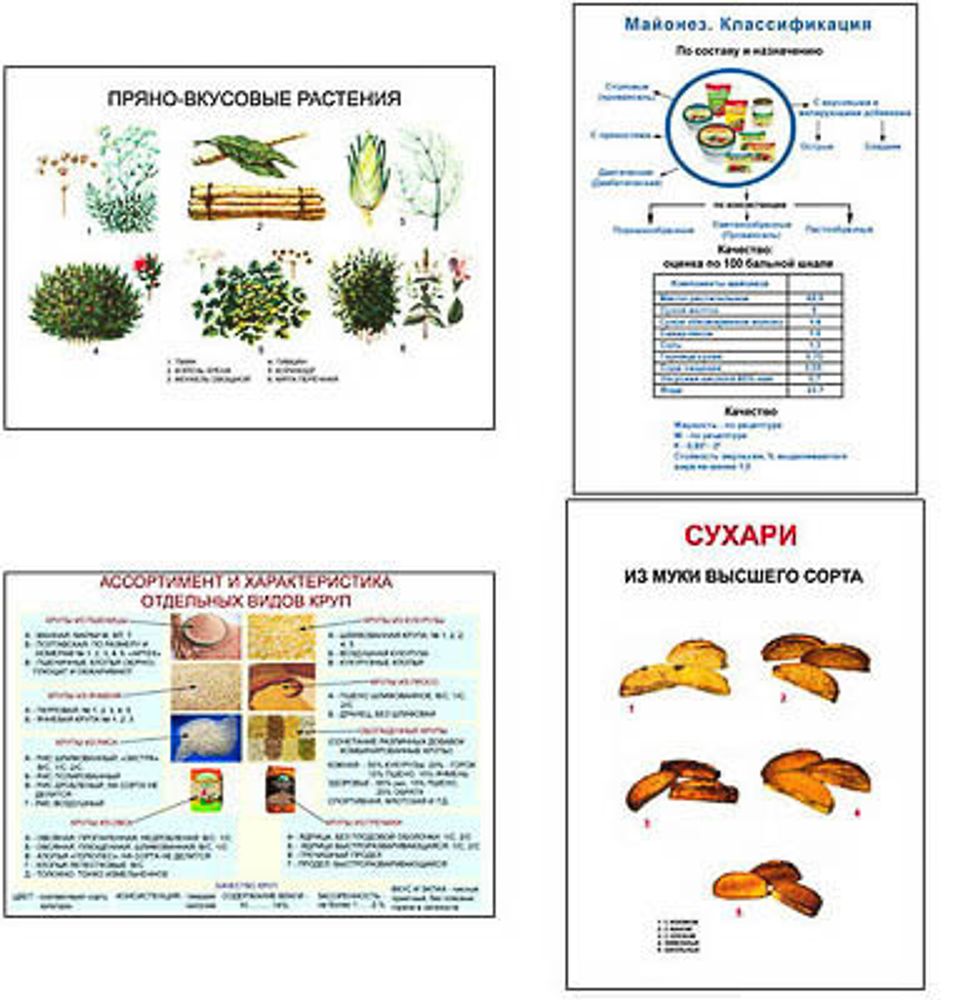 Плакаты ПРОФТЕХ &quot;Продовольственные товары и пряности&quot; (11 пл, винил, 70х100)