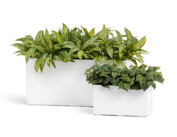 Кашпо TREEZ Effectory - серия Gloss - Низкий узкий прямоугольник - Белый глянцевый лак