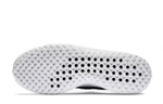 Кроссовки Nike Renew Rival 2E (Женская размерная сетка)