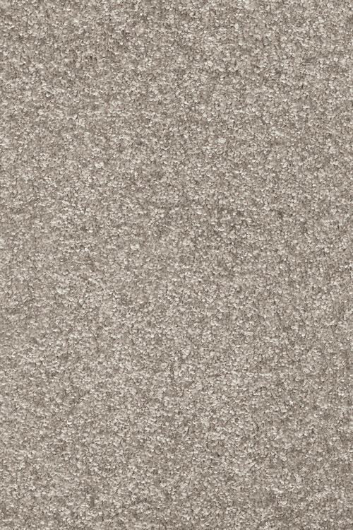 Ковровое покрытие AW Invictus Romelus 49