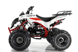 MOTAX ATV Raptor LUX 125 сс 4T Белый/красный