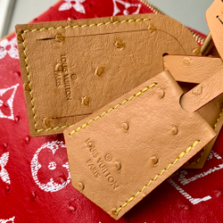 Louis Vuitton Speedy P9 Bandouliere 40