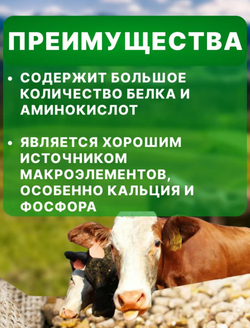 Мясокостная мука для куриц, собак, кошек,600 гр