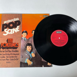 Винтажная виниловая пластинка LP The Fortunes You've Got Your Troubles (Germany 1974)