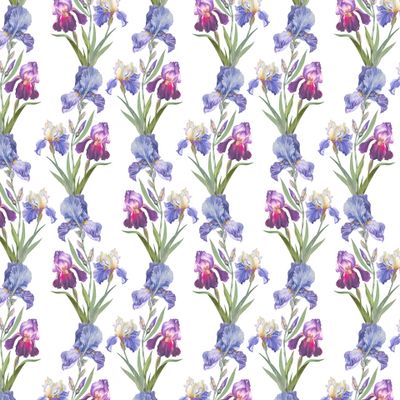 Букет ирисов на белом