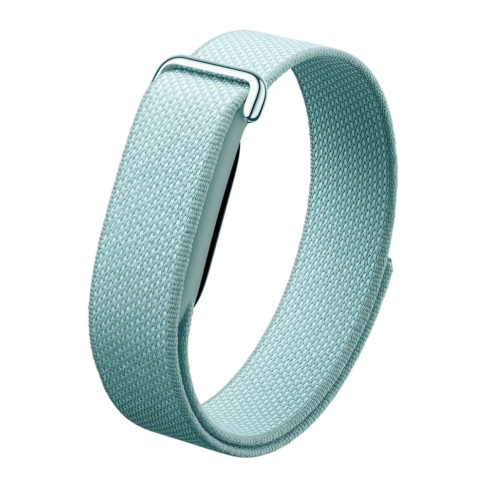 Фитнес-браслет Google Fitbit Air