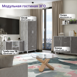 Шкаф 2x-дверный (НГ) ЭГО 80x51x202 Бетон Светлый/Камень Темный Дисконт (Невозвратный товар!)