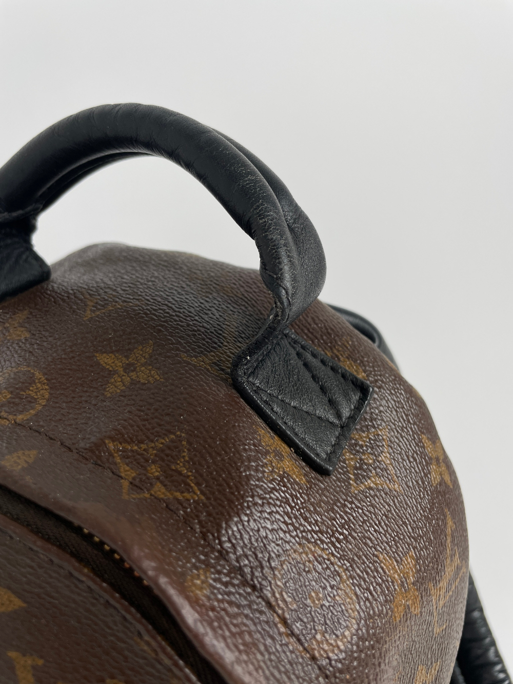 Рюкзак Louis Vuitton Monogram Canvas Palm Springs