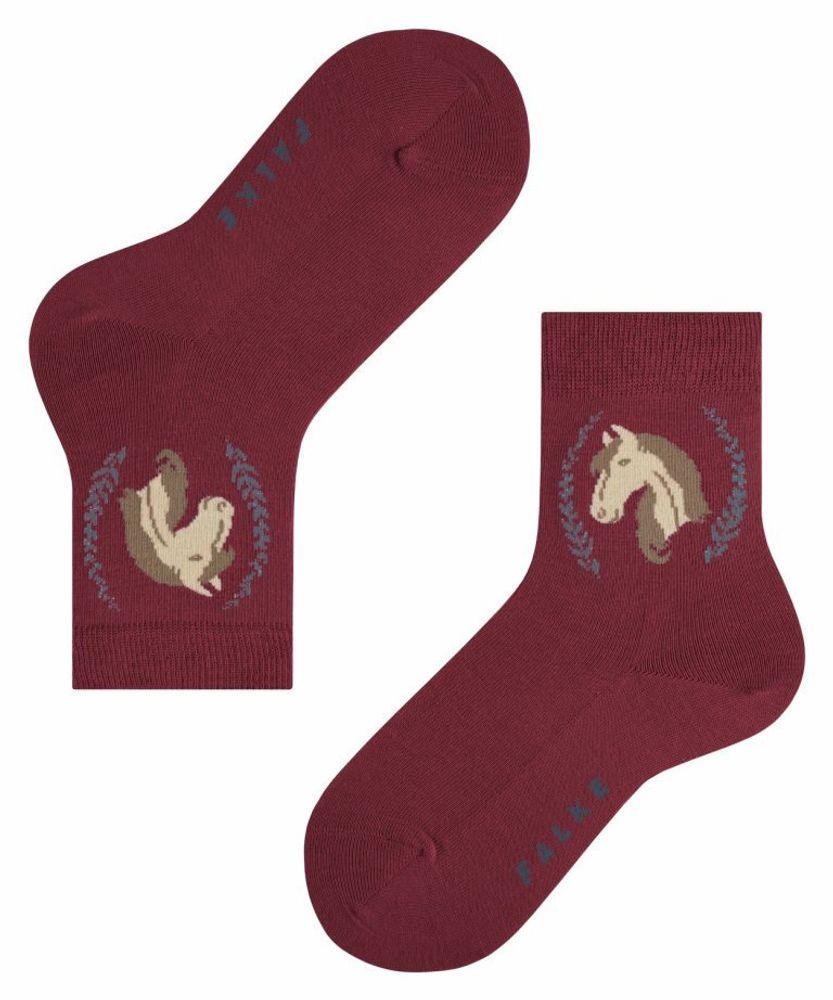 Носки Horse FALKE 12185/8830