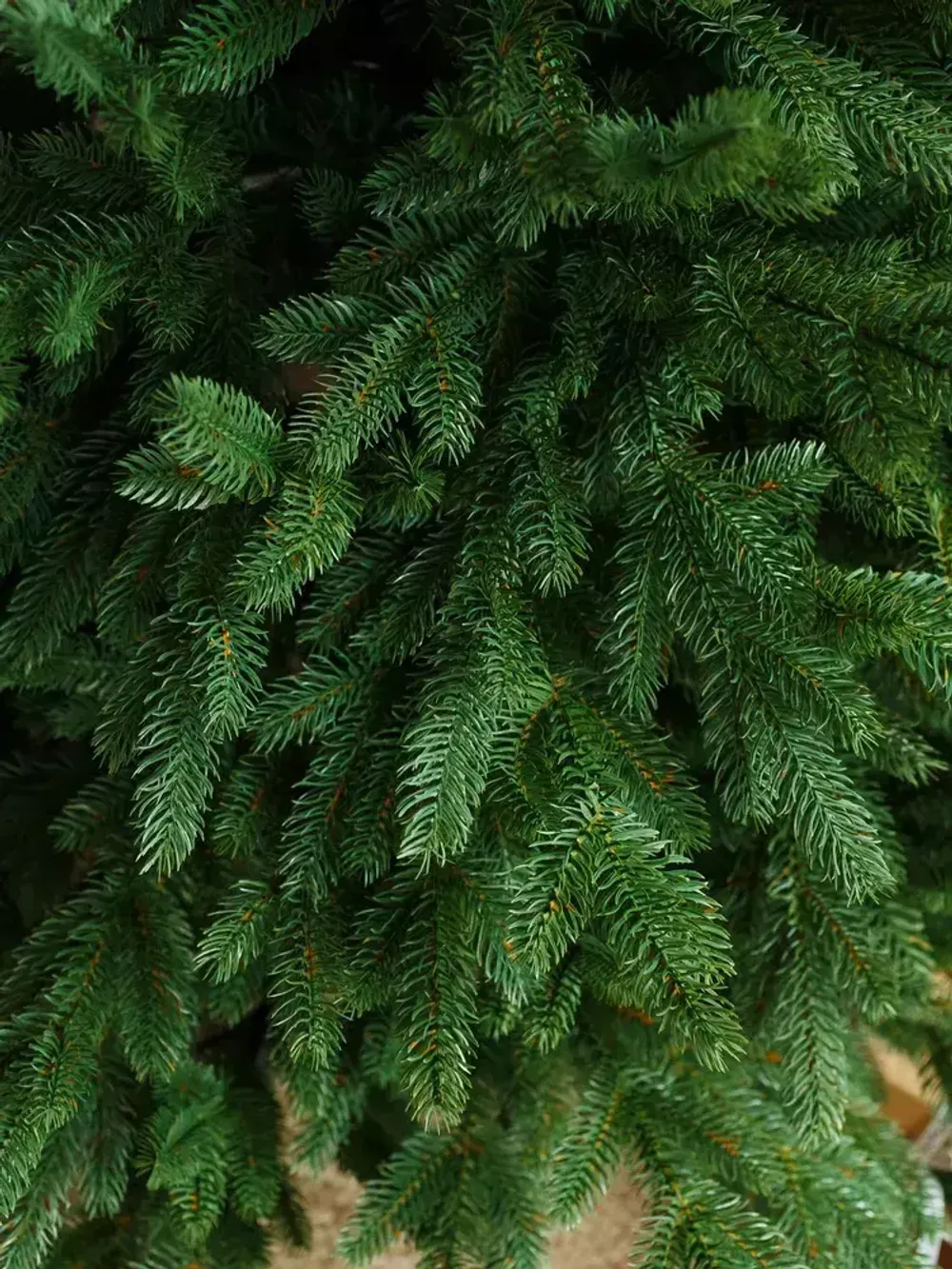 Искусственная ель «Берген» (Литая хвоя) 240 см / 2.4 м