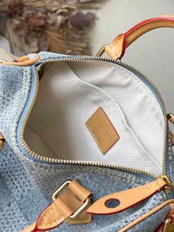 Louis Vuitton Speedy 25