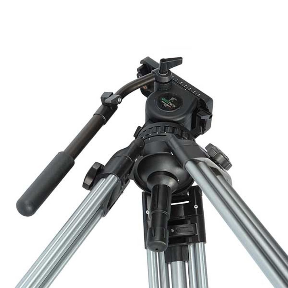 GreenBean VideoMaster 310